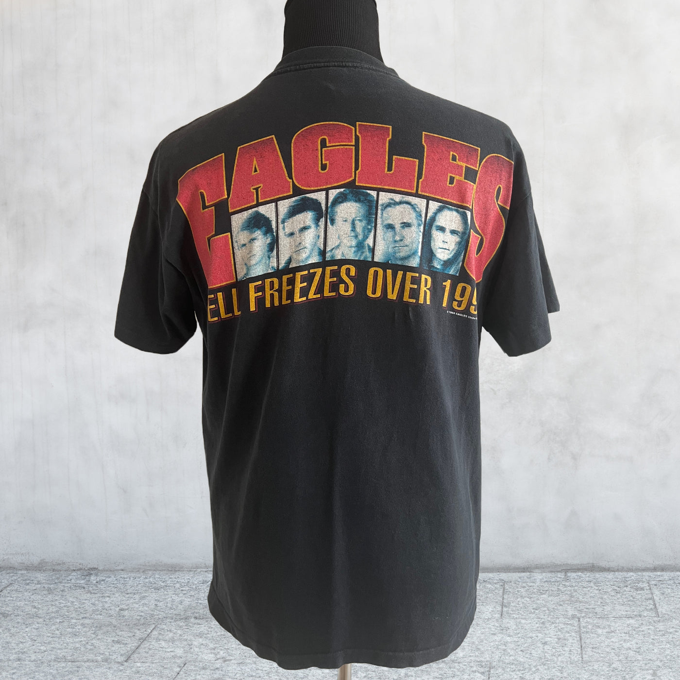 Vintage Eagles Hell Freezes Over World Tour 1994 T-shirt. Large