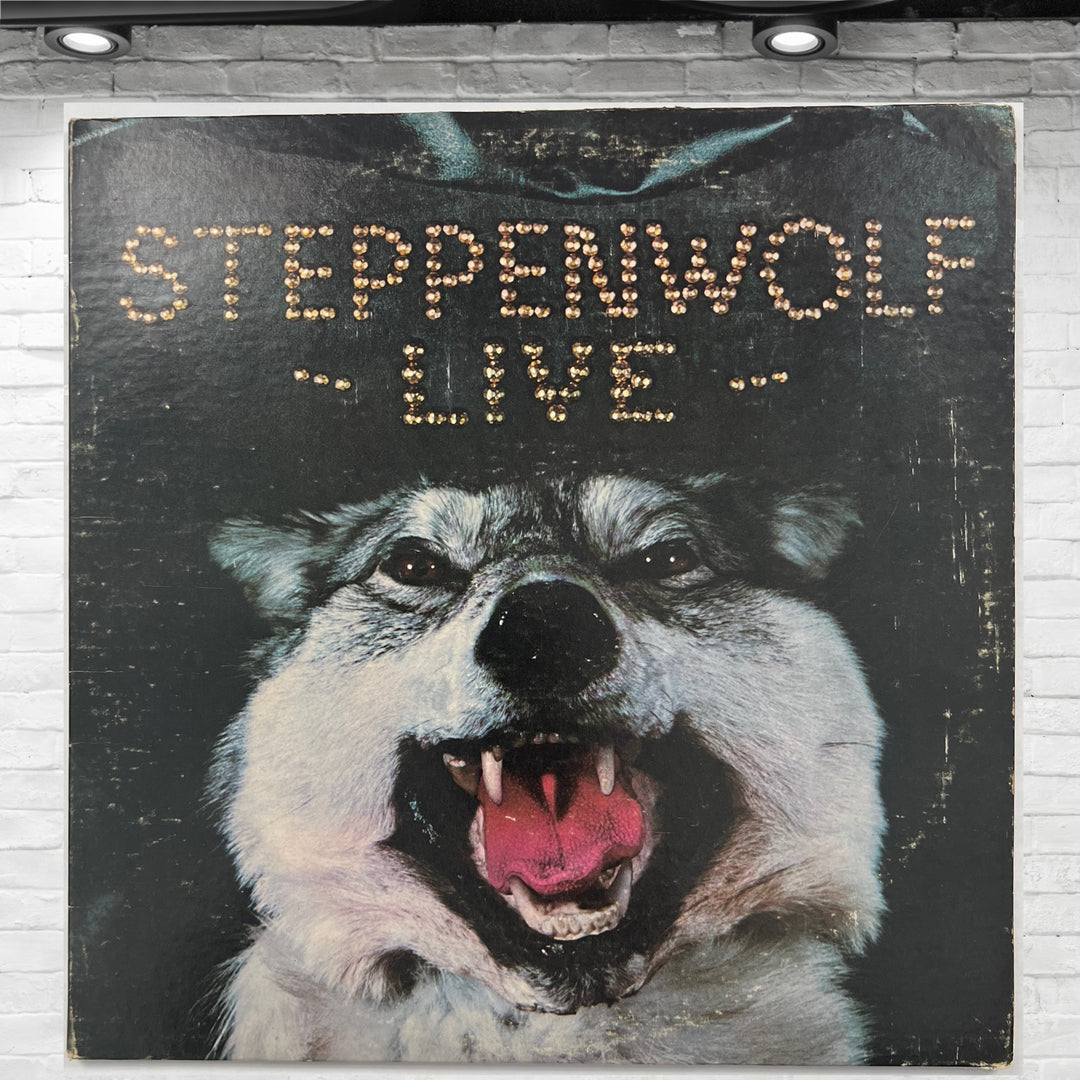 Vintage 1970 Steppenwolf Live Vinyl Album